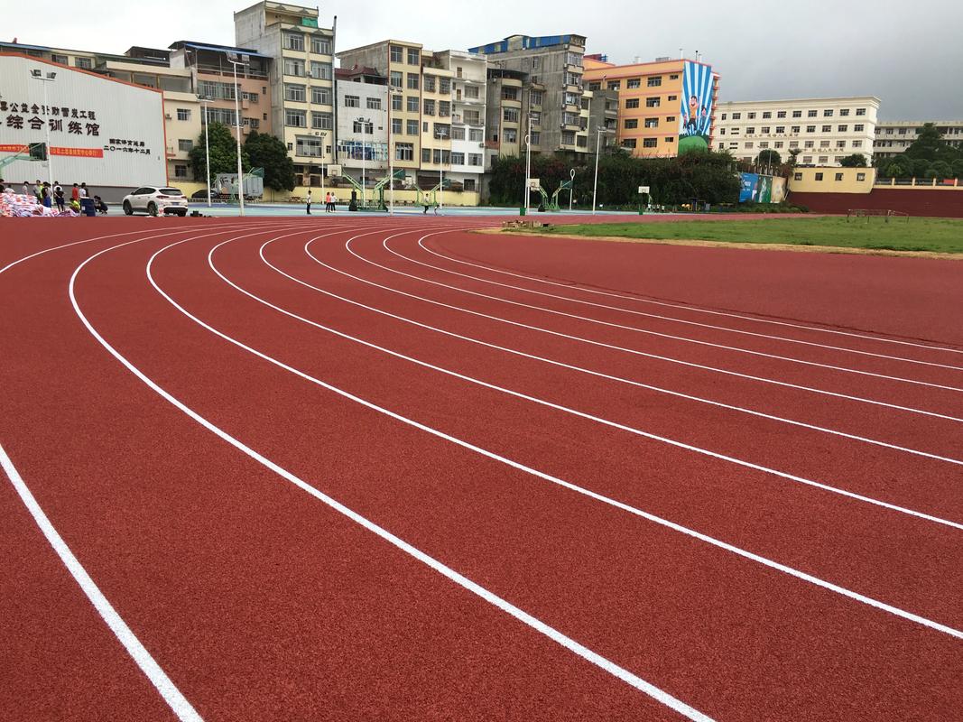 儋州市硅PU材料塑胶跑道材料 - 方案